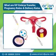 What is IVF Embryo Transfer, Pregnancy Rates, and Delivery Rates?